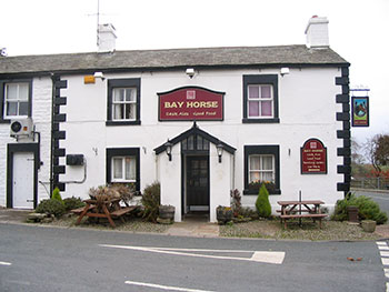 Bay Horse