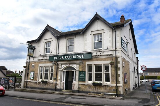 Dog & Partridge